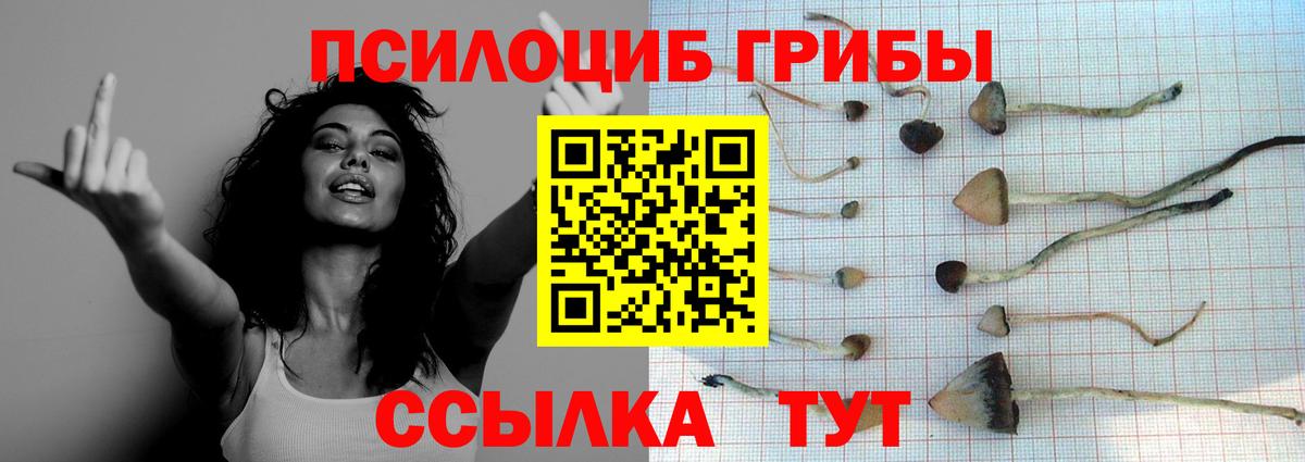Галлюциногенные грибы GOLDEN TEACHER Сибай